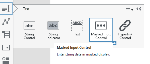 Masked Input Control.png